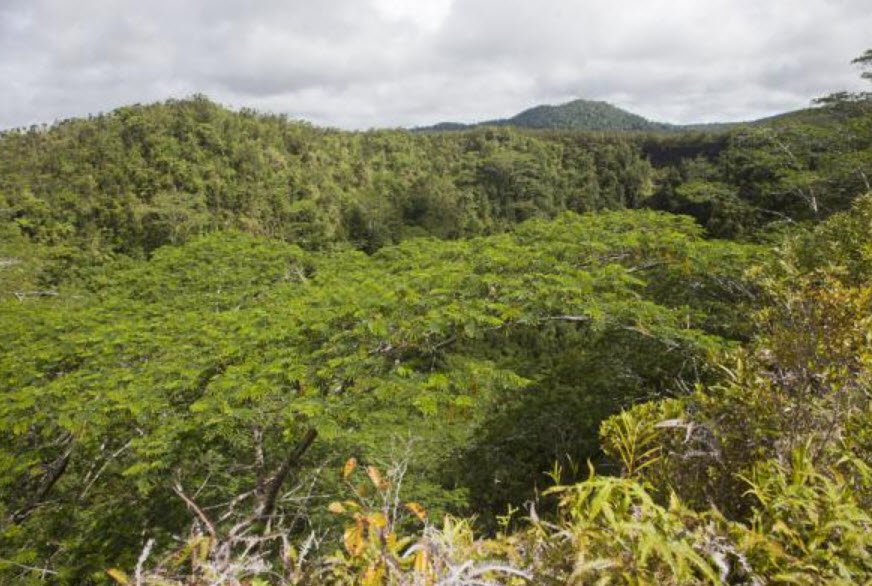 Mount Matavanu Crater, North Savai’i, Samoa